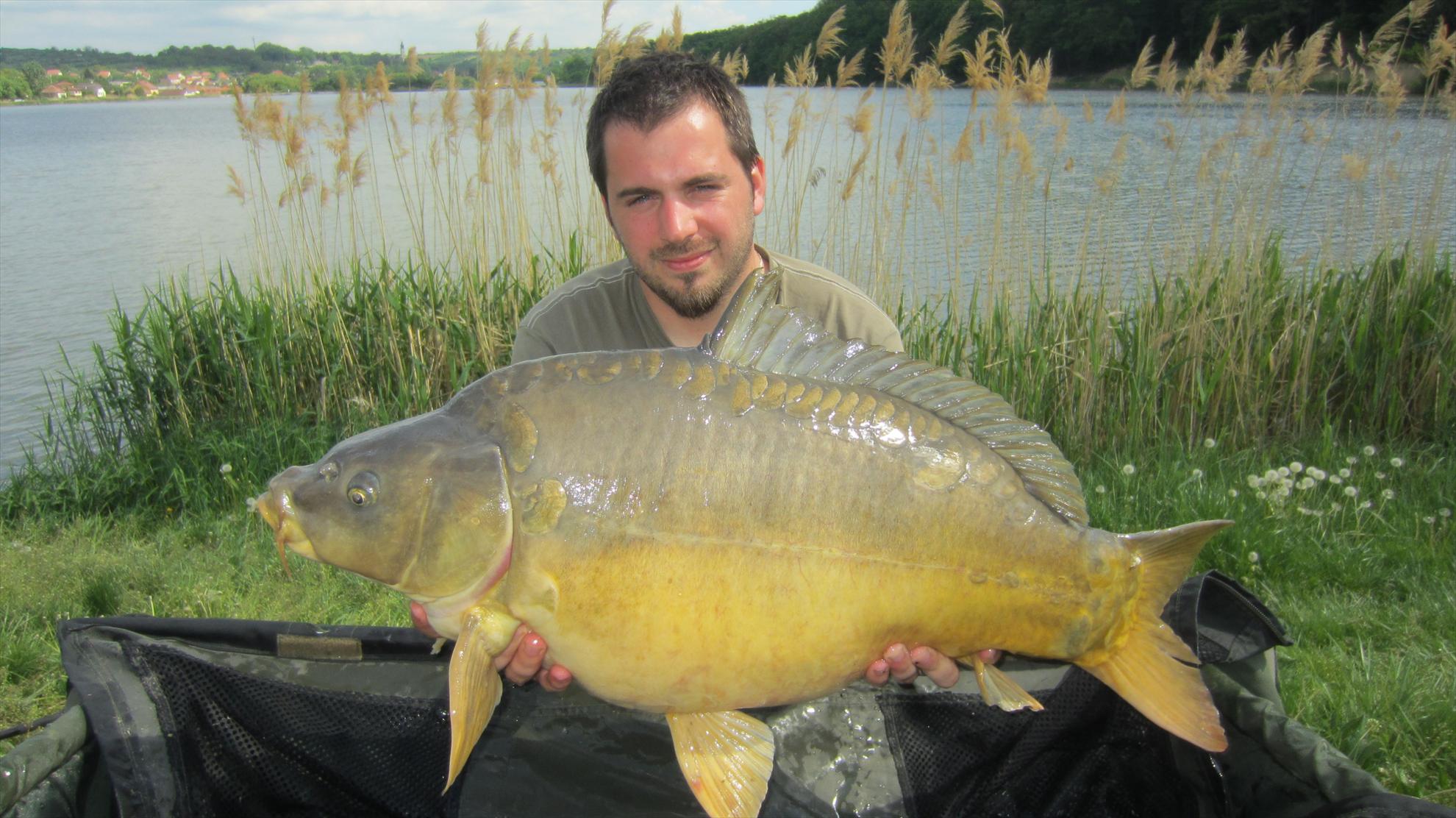 Harsany 1 - 5 mai. - img2620.JPG